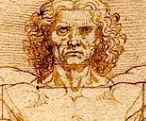 Neck Theory Vitruvian Man